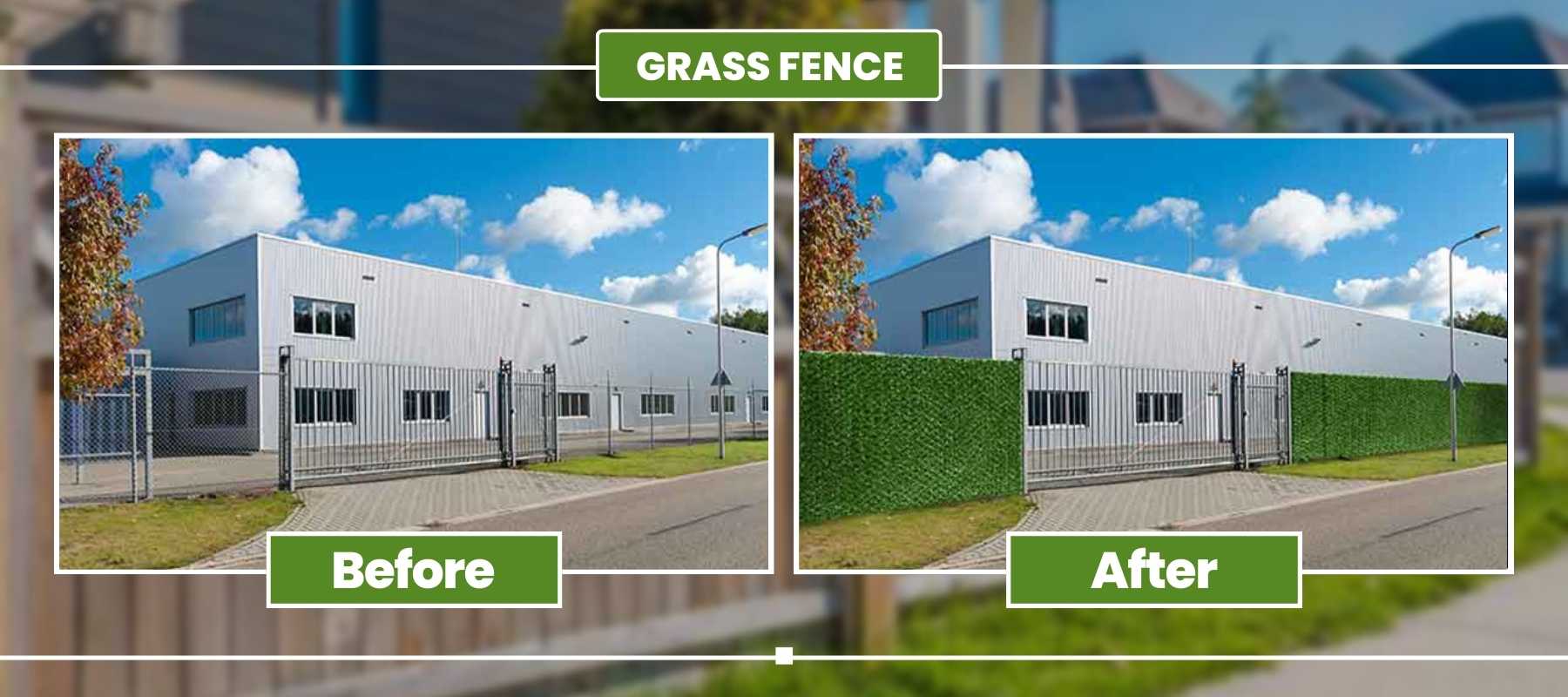 before after grass
