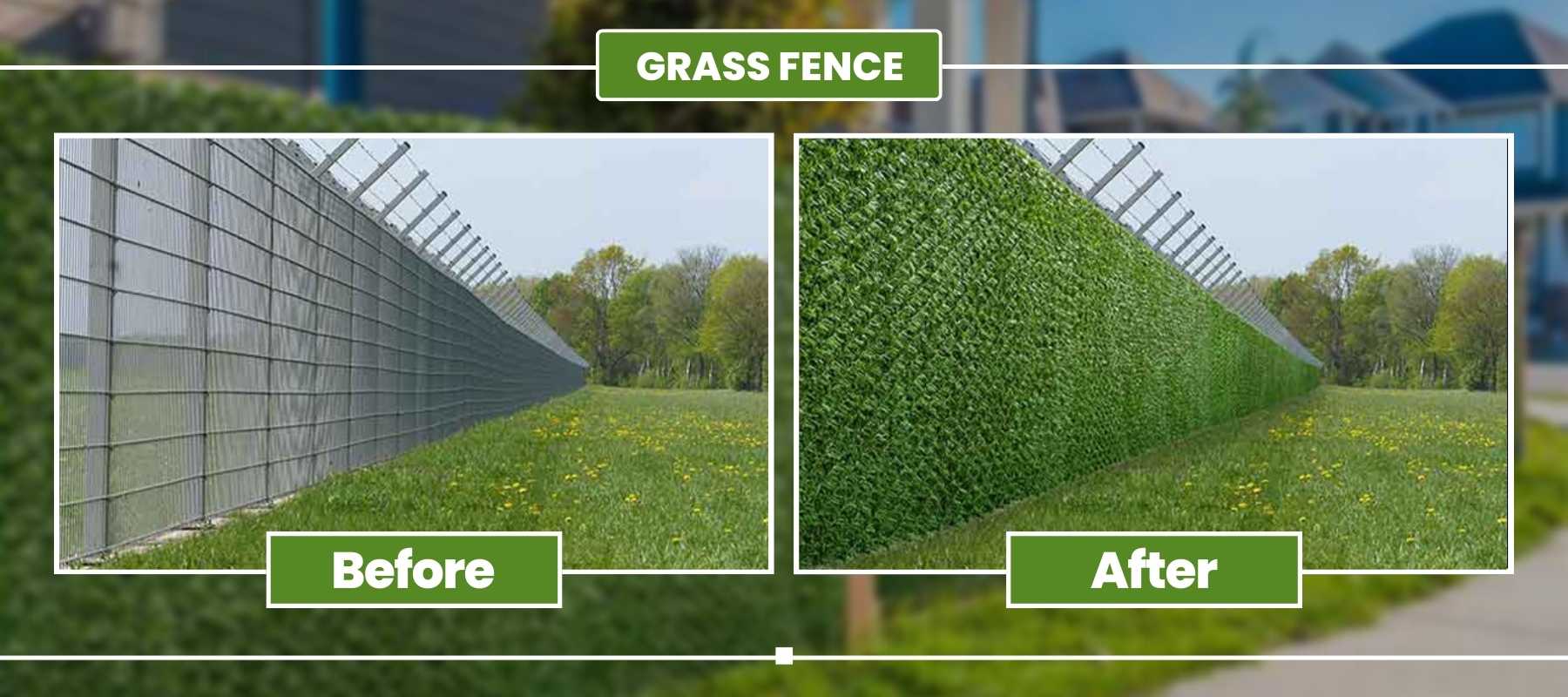 grass before after