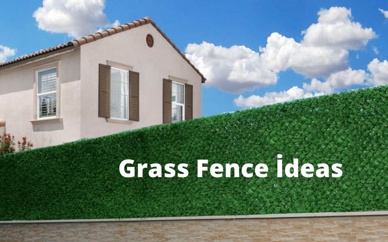 grass wall ideas