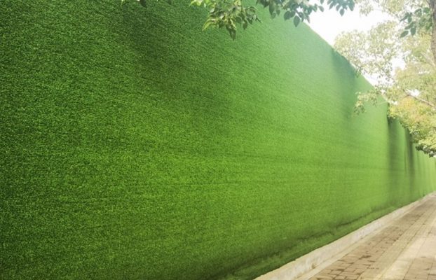 What is Grass Wall?