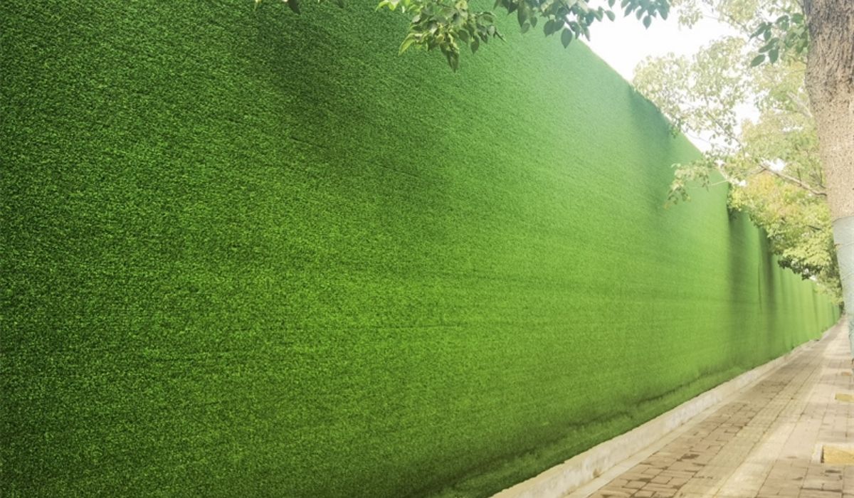 What is Grass Wall?